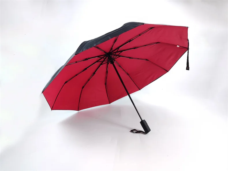 Windproof Double Layer Fully Automatic Resistant Umbrella